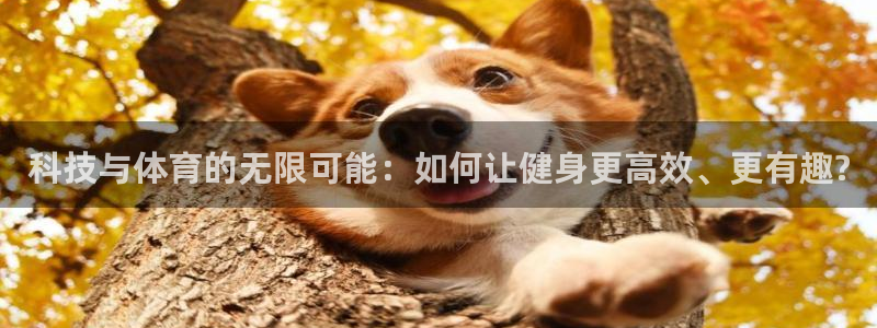 谈球吧：科技与体育的无限可能：如何让健身更高效、更有趣?