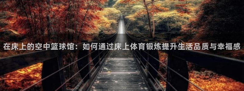 谈球吧体育官网：在床上的空中篮球馆：如何通过床上体育锻炼提升生活品质与幸福感