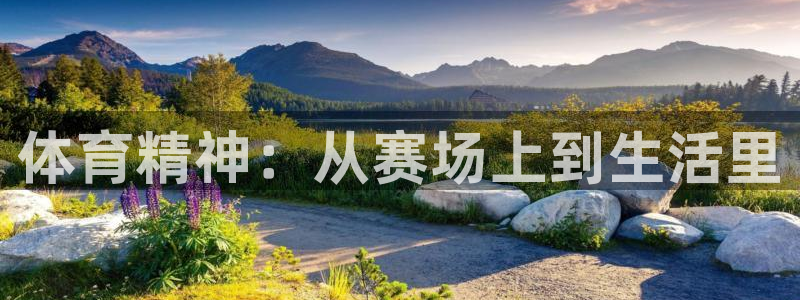 谈球吧：体育精神：从赛场上到生活里