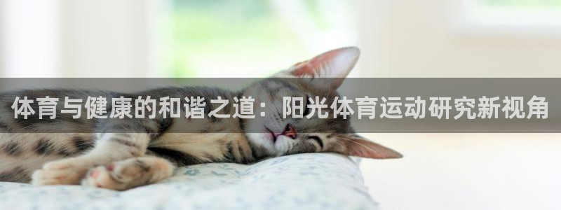 谈球吧体育：体育与健康的和谐之道：阳光体育运动研究新视角