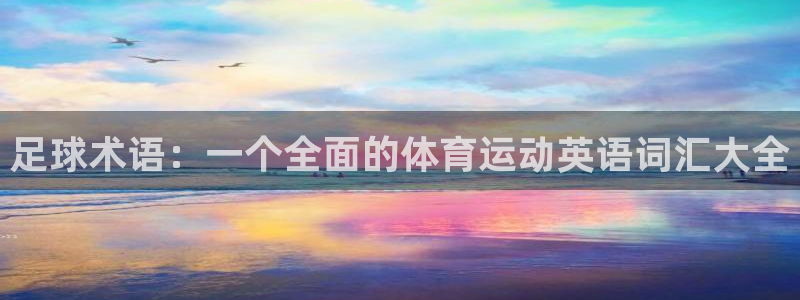 谈球吧：足球术语：一个全面的体育运动英语词汇大全