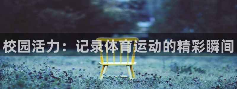 谈球吧体育：校园活力：记录体育运动的精彩瞬间