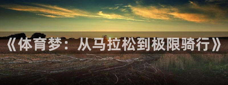 谈球吧体育：《体育梦：从马拉松到极限骑行》