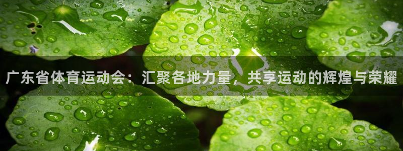 谈球吧体育官网：广东省体育运动会：汇聚各地力量，共享运动的辉煌与荣耀