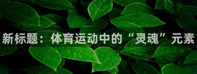 谈球吧体育官网：新标题：体育运动中的“灵魂”元素